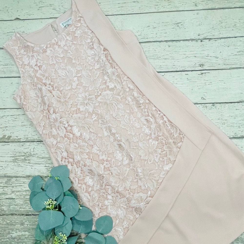 En Focus Studio Lace Sleeveless Dress